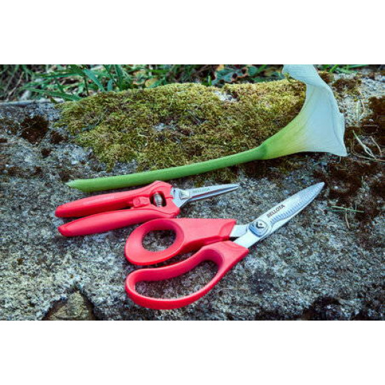 Ножица за цветя Bellota 3406