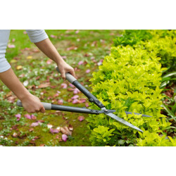 Ножица за плет Bellota 3461- С